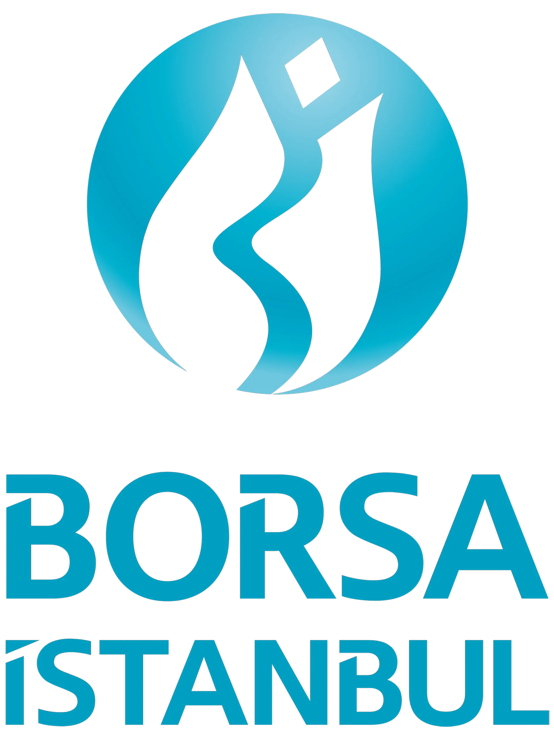 Borsa İstanbul Logo
